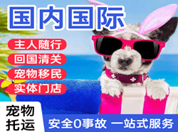 扎兰屯机场快递国际宠物托运 【国
